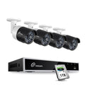 1080p 4-Ch HD-TVI Security Camera System DVR Kit F723