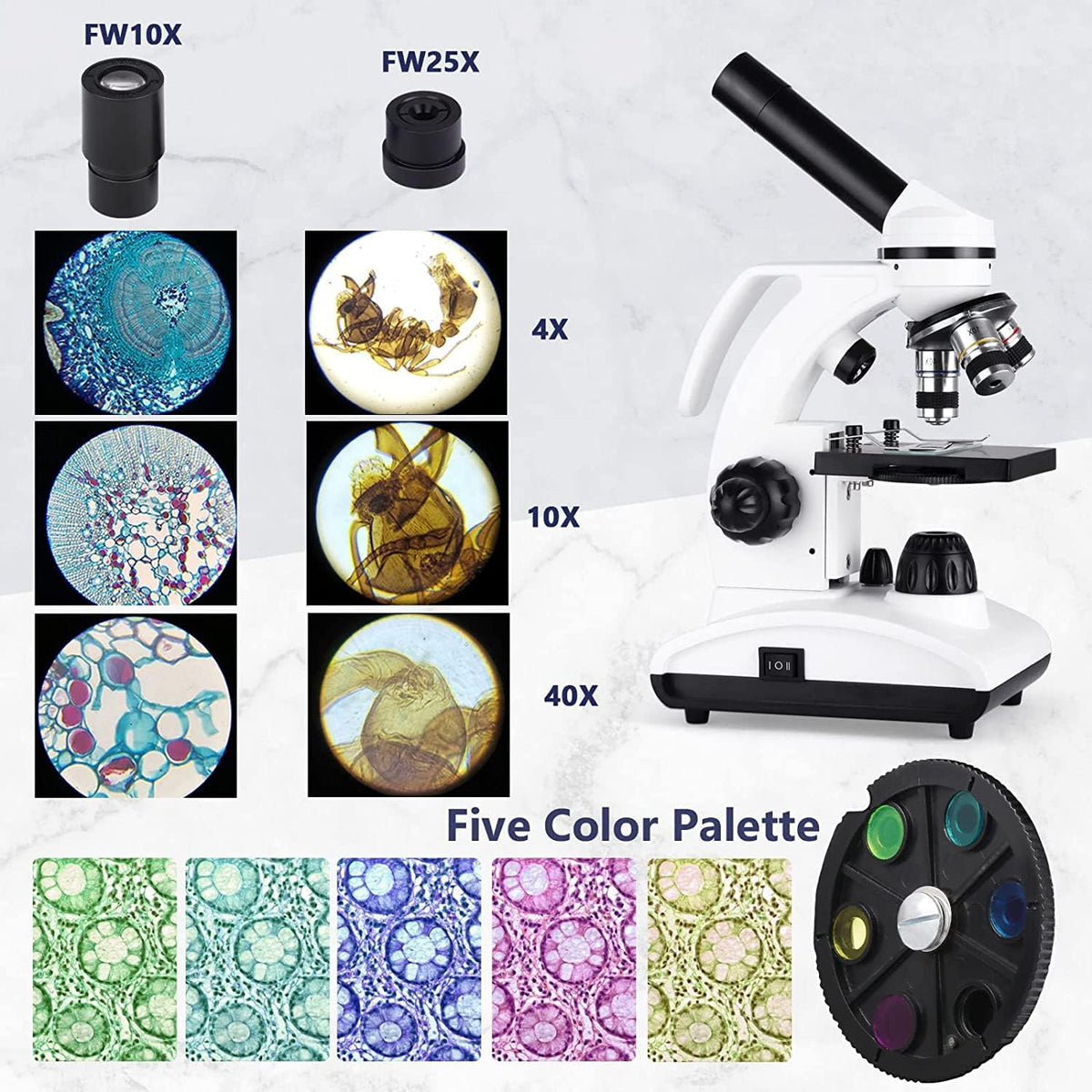 Cordless Biological Compound Monocular Microscope with Slides Set and Phone Adapter R34526