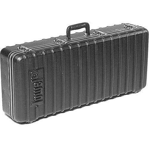 Continuous Light Kit with Case G379184